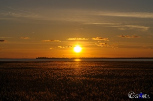 Bodden / Ostsee. Gigantischer Sonnenuntergang.