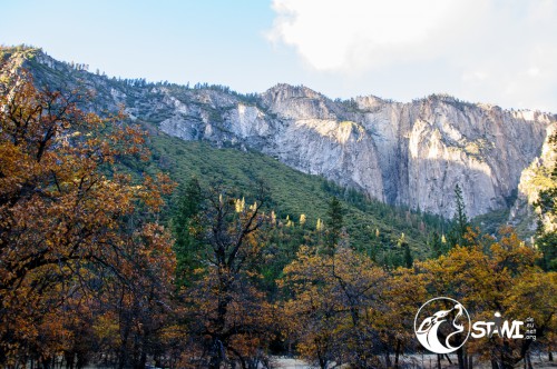 Blick in den Yosemite Valley.