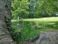 SMS_4094 SMS_4094