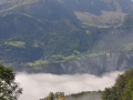 SMS_7444