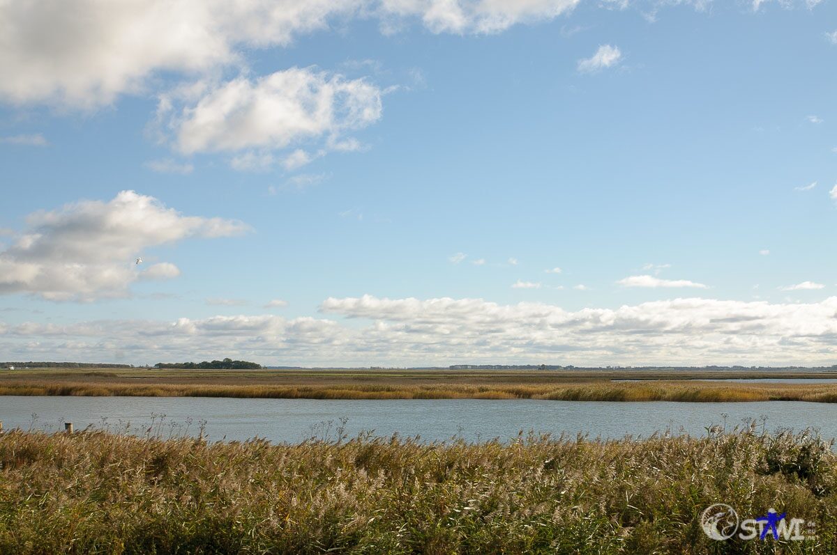 sms_2654
