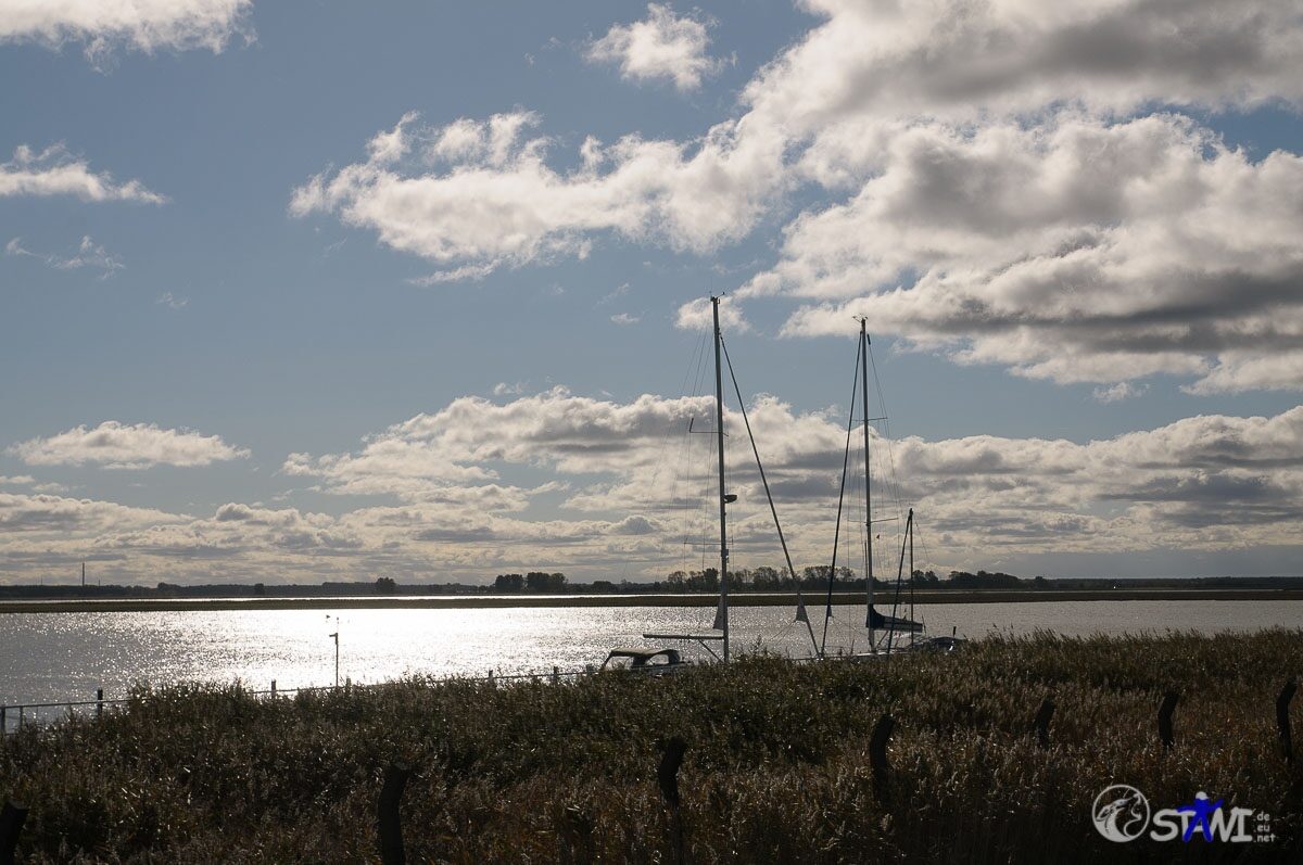 sms_2656