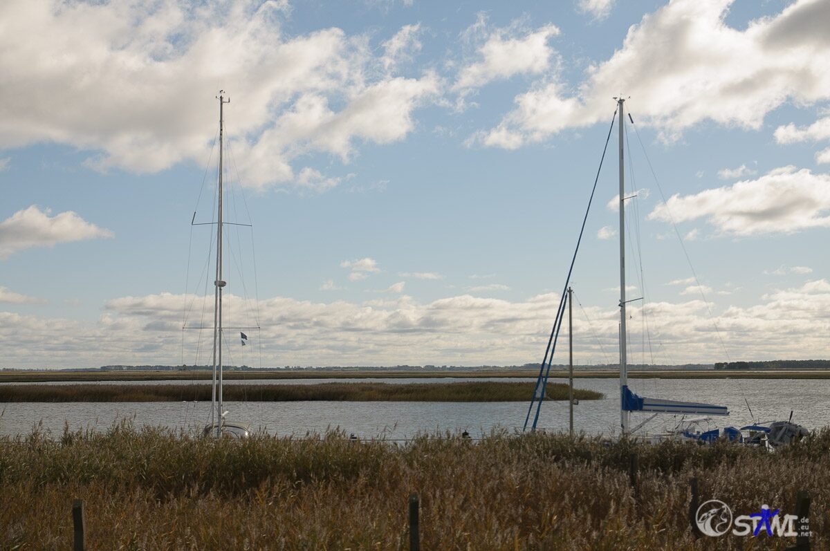 sms_2658