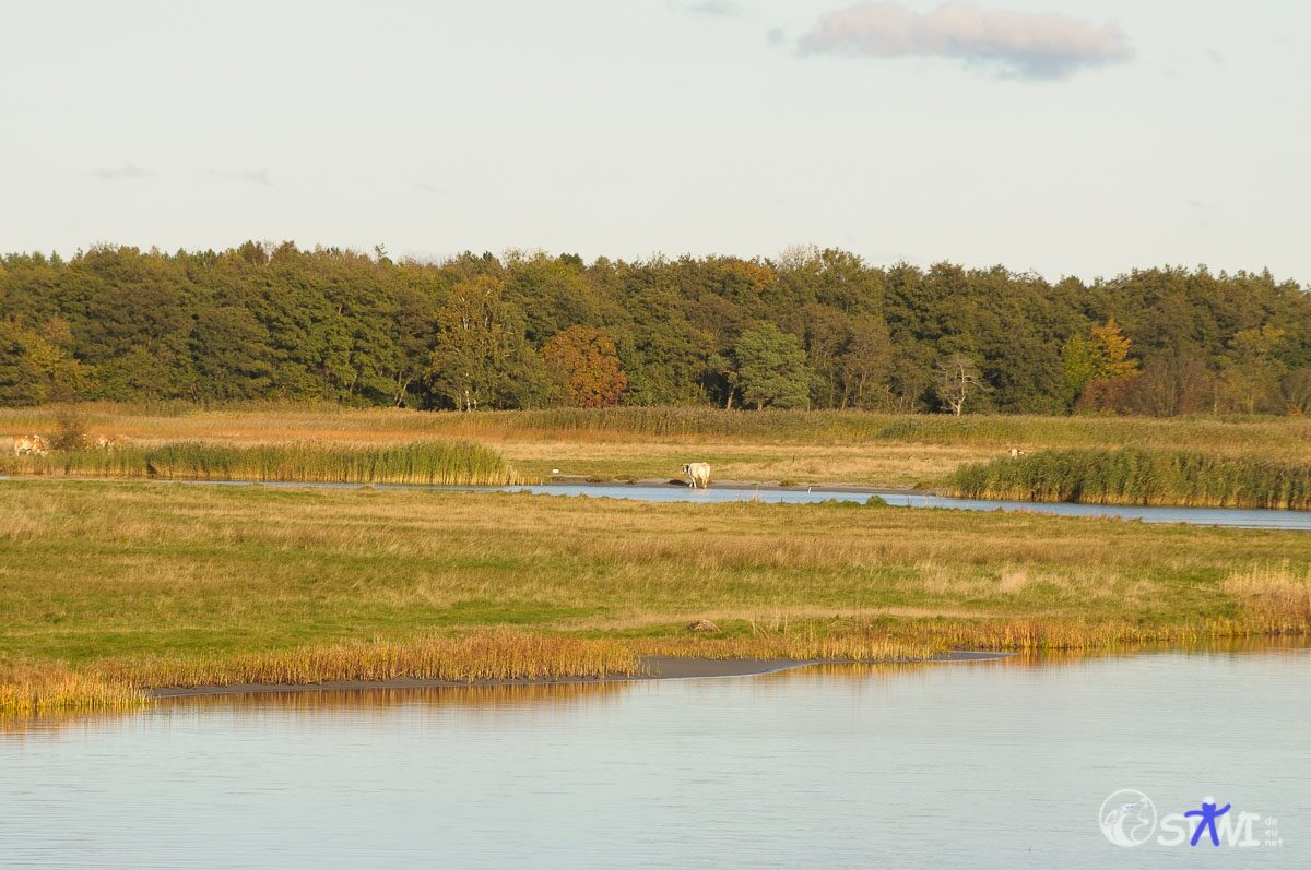 sms_2757
