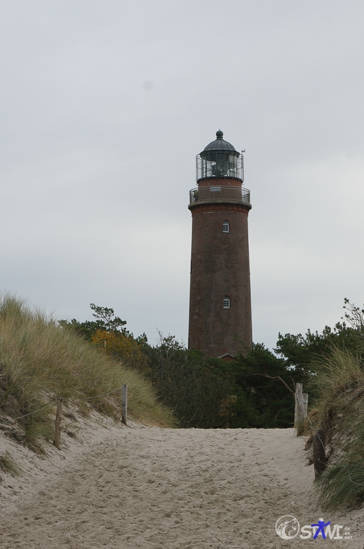 sms_3137