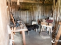 20140622-SMS_9165 20140622-SMS_9165