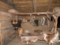 20140622-SMS_9173 20140622-SMS_9173