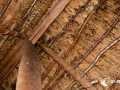 20140622-SMS_9181 20140622-SMS_9181