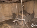 20140622-SMS_9183 20140622-SMS_9183
