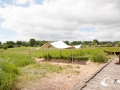 20140622-SMS_9216 20140622-SMS_9216