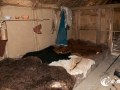 20140622-SMS_9231 20140622-SMS_9231