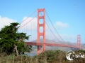 SMS_0682 SMS_0682