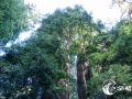 SMS_0709 SMS_0709
