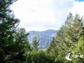 SMS_0741 SMS_0741