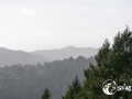 SMS_0752 SMS_0752