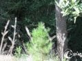 SMS_0754 SMS_0754