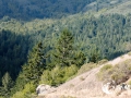 SMS_0755 SMS_0755