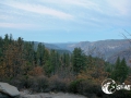 SMS_1007 SMS_1007