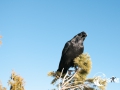 SMS_1404 SMS_1404
