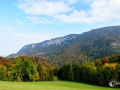 SMS_5572 SMS_5572