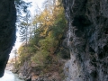 SMS_5704 SMS_5704