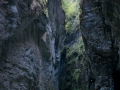 SMS_5719 SMS_5719