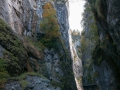 SMS_5732 SMS_5732