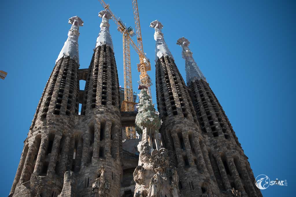 MS7_2426