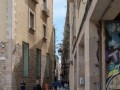 MS7_9507 MS7_9507