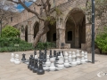 MS7_9524 MS7_9524