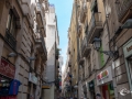 MS7_9533 MS7_9533