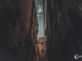 MS7_9539 MS7_9539