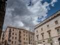 MS7_9544 MS7_9544