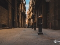 MS7_9546 MS7_9546