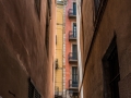 MS7_9549 MS7_9549