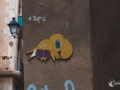 MS7_9551