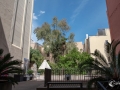 MS7_9601