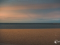 MS7_9624 MS7_9624