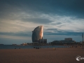MS7_9634 MS7_9634