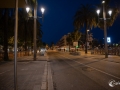 MS7_9644 MS7_9644