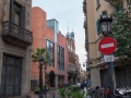 MS7_9663 MS7_9663