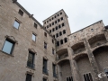 MS7_9697 MS7_9697
