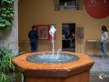 MS7_9709 MS7_9709