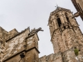 MS7_9712 MS7_9712