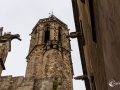 MS7_9713 MS7_9713