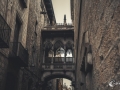 MS7_9728
