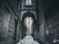 MS7_9734