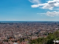 MS7_9766 MS7_9766