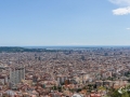MS7_9767 MS7_9767