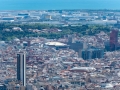 MS7_9777 MS7_9777
